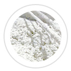 ����̎��