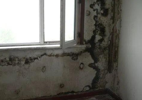 �ЙC���ز��Ϻ͟o�C���ز����״�����Щ�|�����}��