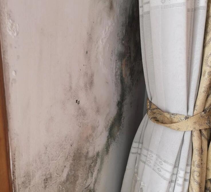 ����Ǽ��b�≦��������������Љ��ڰl(f��)ù����ô������