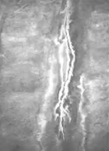 �����������ѿp�����Լ����φ᣿